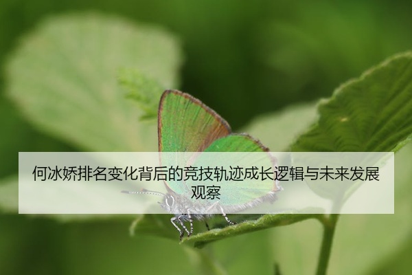 img_1777352618635_153_1_664.jpg